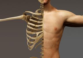2 Schermata Human Anatomy 3D