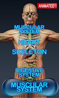 3 Schermata Human Anatomy 3D
