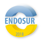 ENDOSUR 2018 icône