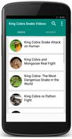 King Cobra Snake - Videos syot layar 3