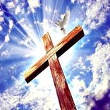 Beyond The Limit Kingdom