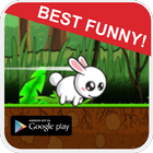 Bunny Adventure Game Free icon