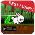 Bunny Adventure Game Free آئیکن