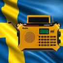 svenska radiostationer - Internet Radio FM APK