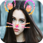 Cat Face Photo Frame أيقونة