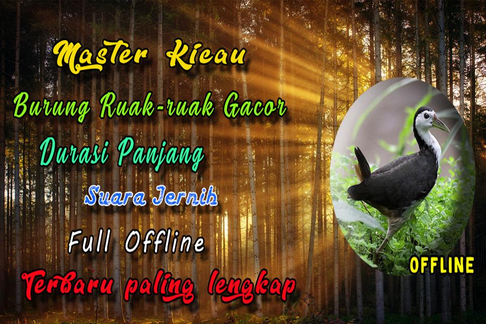 Suara Burung Ruak Ruak Pikat For Android Apk Download