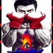 ”Death Boxing Ring 3D (HD) real punch