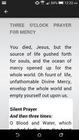 Divine Mercy capture d'écran 1