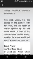 Divine Mercy Ekran Görüntüsü 1