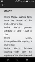 Divine Mercy تصوير الشاشة 2