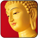 Niệm Phật - Hình Nền Phật APK