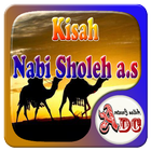 Kisah Nabi Sholeh a.s ikona