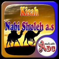 Kisah Nabi Sholeh a.s ảnh chụp màn hình 1
