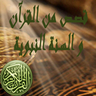 قصص من القرآن والسنة النبوية icône