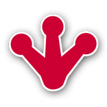 KissNoFrog - Live Verlieben