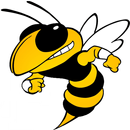 THE YELLOW JACKET APK