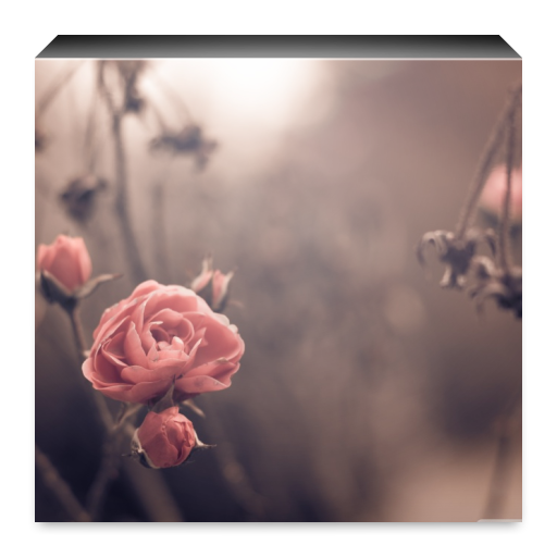 Best Vintage Wallpaper