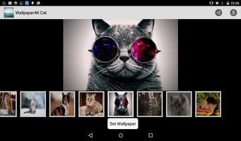 Wallpaper 4K Cat screenshot 2