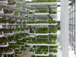 Hydroponic System Planting ideas Ekran Görüntüsü 2