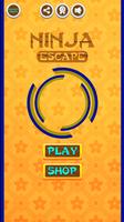 Ninja Escape Games : Arashi Affiche