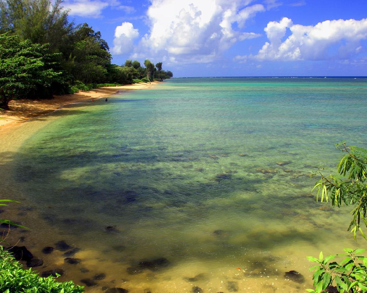 Берега залитые водой. Море зелень. Тропики. Тропическое море. Море Тропическая вода.