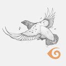 Qateryuk APK