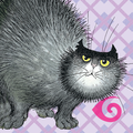Hairy Maclary - Caterwaul Caper