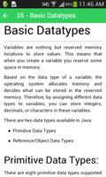 Learn Java - Kiwi Lab imagem de tela 2
