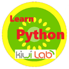 Learn Python - Kiwi Lab icono
