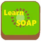 Learn SOAP - Kiwi Lab biểu tượng