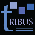 Tribus Words - Crossword Game (Unreleased)