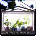 Kitchen Greenhouse
