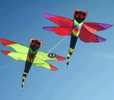 Creative Kite Designs 截圖 1