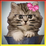 Hallo Kit Camera sticker-icoon