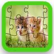 Kitten Puzzle Game