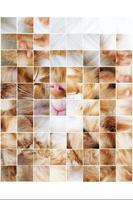 Kitten Puzzle Game 截图 2