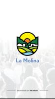 La Molina - PE Affiche