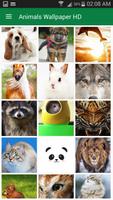 Animals Wallpaper poster