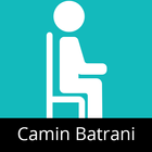 Camin Batrani icône
