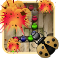 Marble Beetle New
