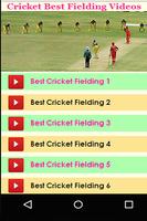 Cricket Best Fielding Videos โปสเตอร์