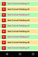 Cricket Best Fielding Videos ภาพหน้าจอ 1