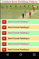 Cricket Best Fielding Videos ภาพหน้าจอ 2