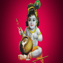 Hindi Krishn Janmashtami Songs APK