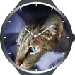Cats Watch Faces