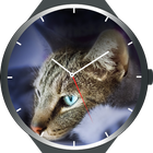 Cats Watch Faces أيقونة