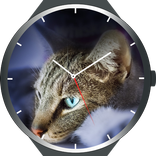 Cats Watch Faces