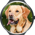 Dogs Watch Faces icône