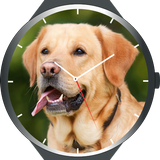 Icona Dogs Watch Faces