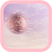 Pregnant Lie Detector APK